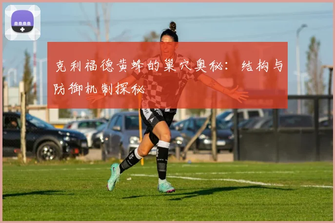 克利福德黄蜂的巢穴奥秘：结构与防御机制探秘