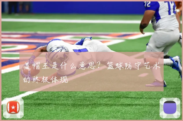 盖帽王是什么意思？篮球防守艺术的终极体现