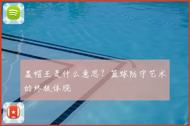 盖帽王是什么意思？篮球防守艺术的终极体现