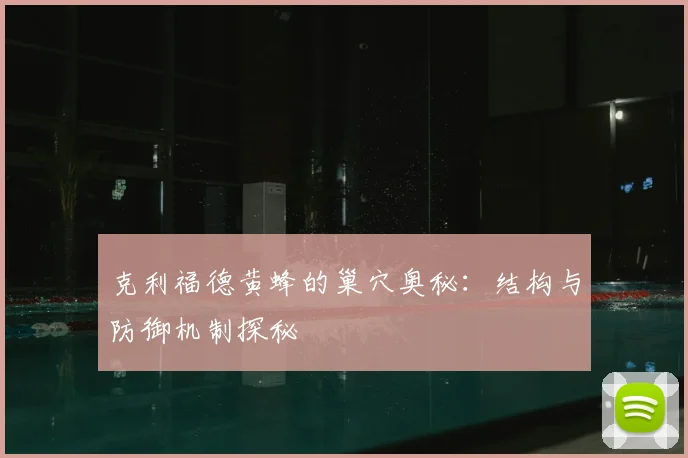 克利福德黄蜂的巢穴奥秘：结构与防御机制探秘